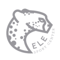 Logo gris ele sport center